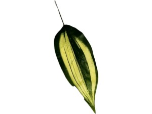 Liść sztuczny długi 58cm