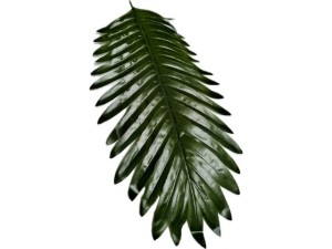 Liść sztuczny spalma 45cm